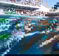 Great Barrier Reef Day Cruise from Cairns Including Snorkeling and Marine Biologist Presentation - Tweed Heads Accommodation