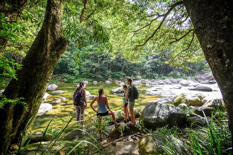 Private Daintree Mossman Gorge Exclusive Nature And Wildlife Focus - Tweed Heads Accommodation 5