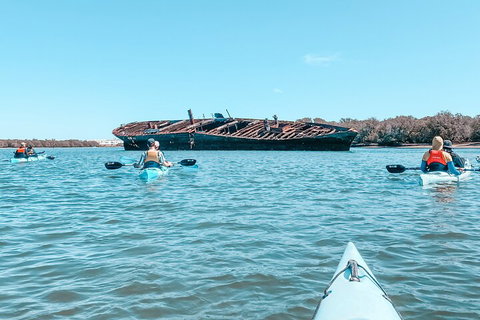 Kayak Tour In Adelaide Dolphin Sanctuary - Tweed Heads Accommodation 3