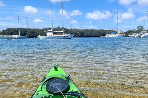 Kayak Tour In Adelaide Dolphin Sanctuary - Tweed Heads Accommodation 4