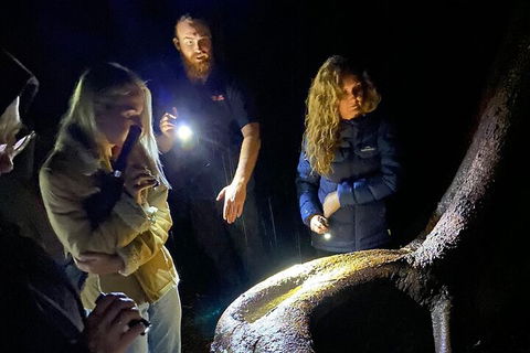 Evening Rainforest & Glow Worm Experience - Tweed Heads Accommodation 2