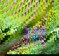 Tasmanian Wine Tour - Tweed Heads Accommodation
