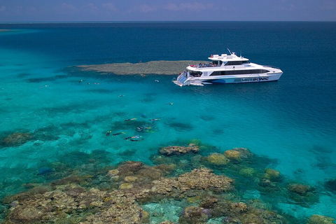 Silversonic Outer Great Barrier Reef Dive And Snorkel Cruise From Port Douglas - Tweed Heads Accommodation 2