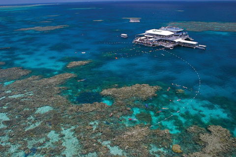 Ultimate 3-Day Great Barrier Reef Cruise Pass - Tweed Heads Accommodation 3