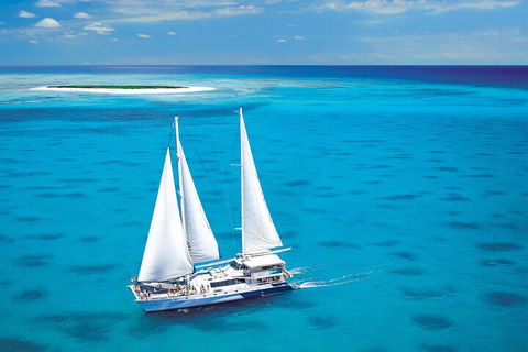 Ultimate 3-Day Great Barrier Reef Cruise Pass - Tweed Heads Accommodation 5