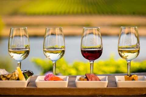 West Tamar Wine Tour - Tweed Heads Accommodation 1
