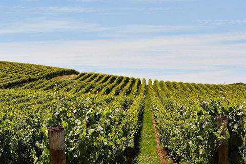 West Tamar Wine Tour - Tweed Heads Accommodation 2