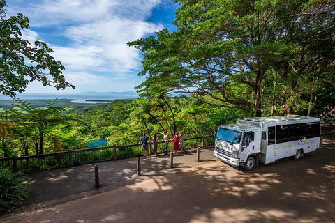 Daintree And Cape Tribulation Tour From Cairns - Tweed Heads Accommodation 3
