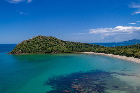 Daintree And Cape Tribulation Tour From Cairns - Tweed Heads Accommodation 4