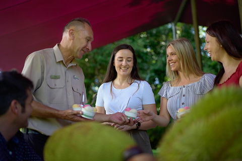 Daintree And Cape Tribulation Tour From Cairns - Tweed Heads Accommodation 5