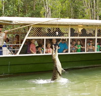 Hartley's Crocodile Adventure Half-Day Tour - Tweed Heads Accommodation