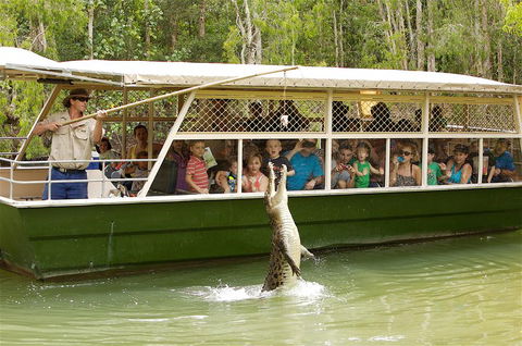 Hartley's Crocodile Adventure Half-Day Tour - Tweed Heads Accommodation 0