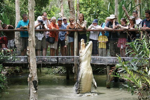 Hartley's Crocodile Adventure Half-Day Tour - Tweed Heads Accommodation 1