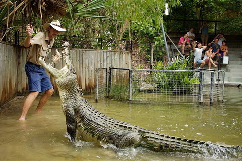 Hartley's Crocodile Adventure Half-Day Tour - Tweed Heads Accommodation 2