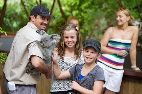 Hartley's Crocodile Adventure Half-Day Tour - Tweed Heads Accommodation 3
