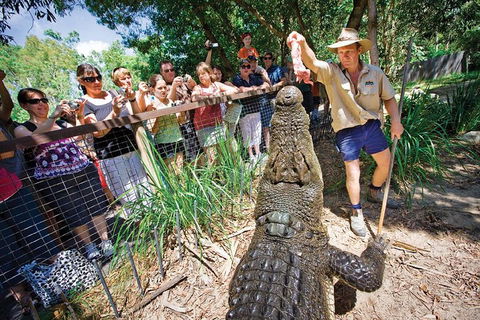 Hartley's Crocodile Adventure Half-Day Tour - Tweed Heads Accommodation 4