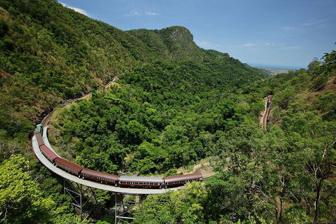 Skyrail Rainforest Cableway Day Trip From Cairns - Tweed Heads Accommodation 5