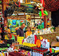 Kuranda Scenic Railway Day Trip from Cairns - Tweed Heads Accommodation