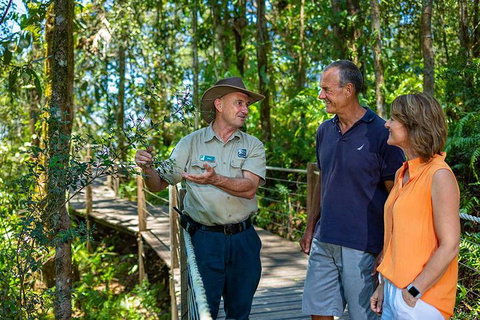 Kuranda Scenic Railway Day Trip From Cairns - Tweed Heads Accommodation 1
