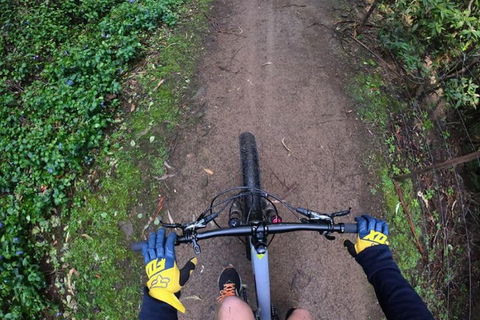 Explore Downhill Mountain In 3-Hour Bike Tour From Hobart - Tweed Heads Accommodation 2