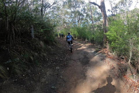 Explore Downhill Mountain In 3-Hour Bike Tour From Hobart - Tweed Heads Accommodation 3