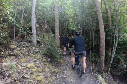 Explore Downhill Mountain In 3-Hour Bike Tour From Hobart - Tweed Heads Accommodation 4