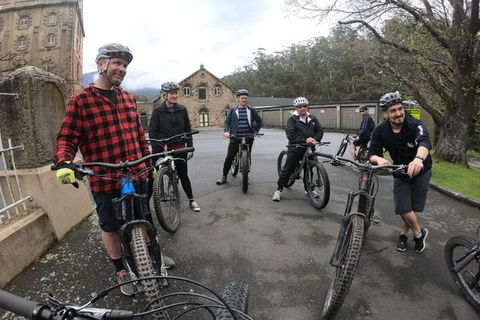 Explore Downhill Mountain In 3-Hour Bike Tour From Hobart - Tweed Heads Accommodation 5