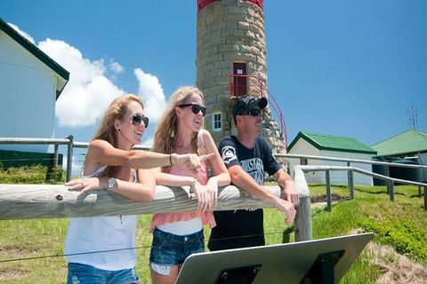Full-Day Moreton Island 4x4 Sightseeing Tour - Tweed Heads Accommodation 3