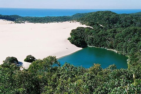 Full-Day Moreton Island 4x4 Sightseeing Tour - Tweed Heads Accommodation 5