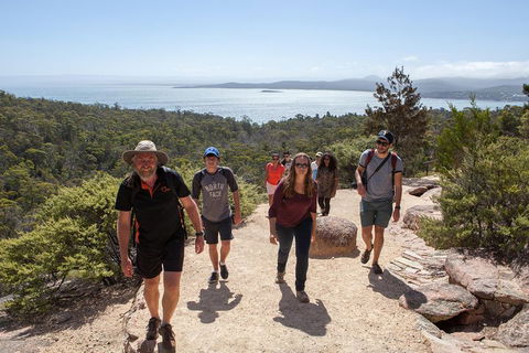 3-Day Tasmania Combo: Hobart To Launceston Active Tour - Tweed Heads Accommodation 3