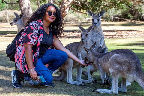 3-Day Tasmania Combo: Hobart To Launceston Active Tour - Tweed Heads Accommodation 5