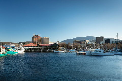 Hobart City Sightseeing Tour Including MONA Admission - Tweed Heads Accommodation 0