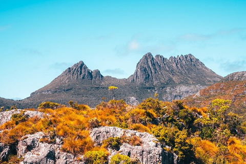 Cradle Mountain National Park Day Tour From Launceston - Tweed Heads Accommodation 1