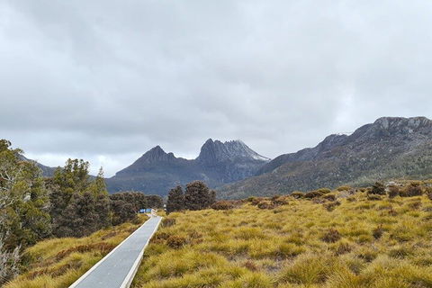 Cradle Mountain National Park Day Tour From Launceston - Tweed Heads Accommodation 2