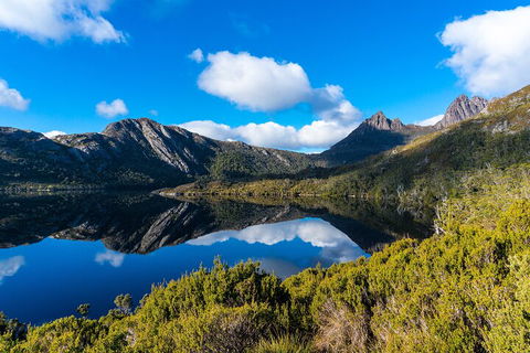 Cradle Mountain National Park Day Tour From Launceston - Tweed Heads Accommodation 3