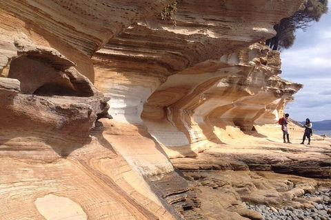 Hobart Minibus Full-Day Private Tour - Tweed Heads Accommodation 0