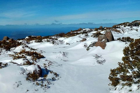 Mt Wellington Ultimate Experience Tour From Hobart - Tweed Heads Accommodation 4