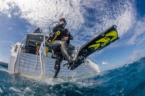 Silverswift Outer Great Barrier Reef Dive And Snorkel Cruise From Cairns - Tweed Heads Accommodation 1