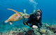 Silverswift Outer Great Barrier Reef Dive And Snorkel Cruise From Cairns - thumb 2