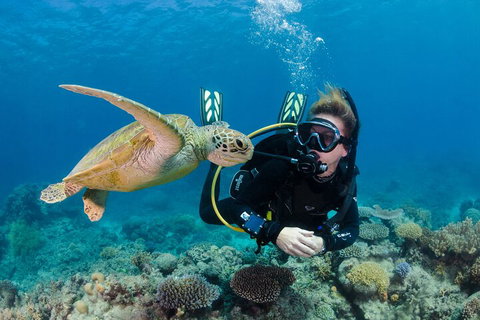 Silverswift Outer Great Barrier Reef Dive And Snorkel Cruise From Cairns - Tweed Heads Accommodation 2