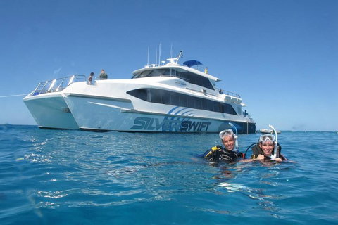 Silverswift Outer Great Barrier Reef Dive And Snorkel Cruise From Cairns - Tweed Heads Accommodation 4