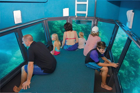 Great Barrier Reef Adventure From Cairns - Tweed Heads Accommodation 1