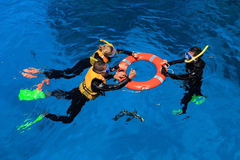 Great Barrier Reef Adventure From Cairns - Tweed Heads Accommodation 3