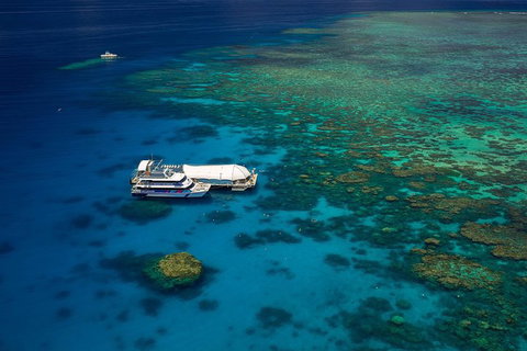 Great Barrier Reef Adventure From Cairns - Tweed Heads Accommodation 4