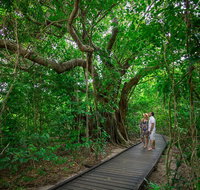 Green Island Eco Adventure from Cairns - Tweed Heads Accommodation