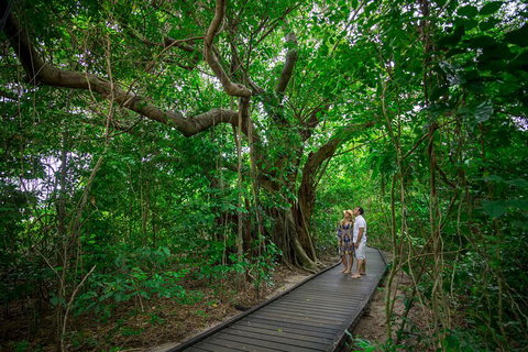 Green Island Eco Adventure From Cairns - Tweed Heads Accommodation 0