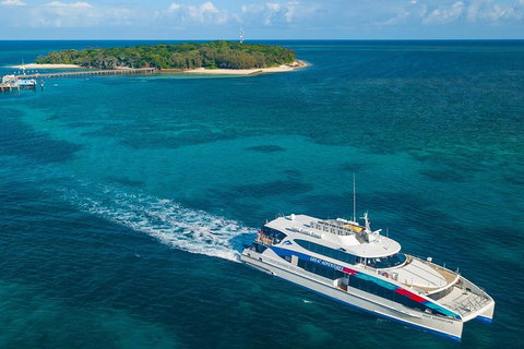 Green Island Eco Adventure From Cairns - Tweed Heads Accommodation 1