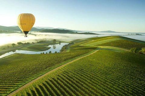 Half-Day Or Full-Day Tour With Private Guide From Melbourne - Tweed Heads Accommodation 4