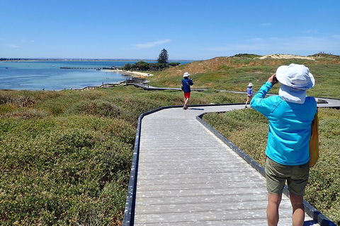 Penguin And Seal Islands Sea Kayaking Experience - Tweed Heads Accommodation 1