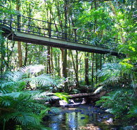 Double Pack-Ancient Rainforest and Waterfalls - Tweed Heads Accommodation